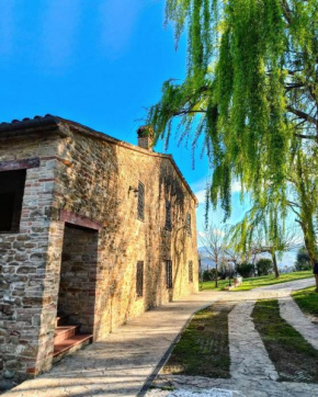 B&B Nel Vigneto